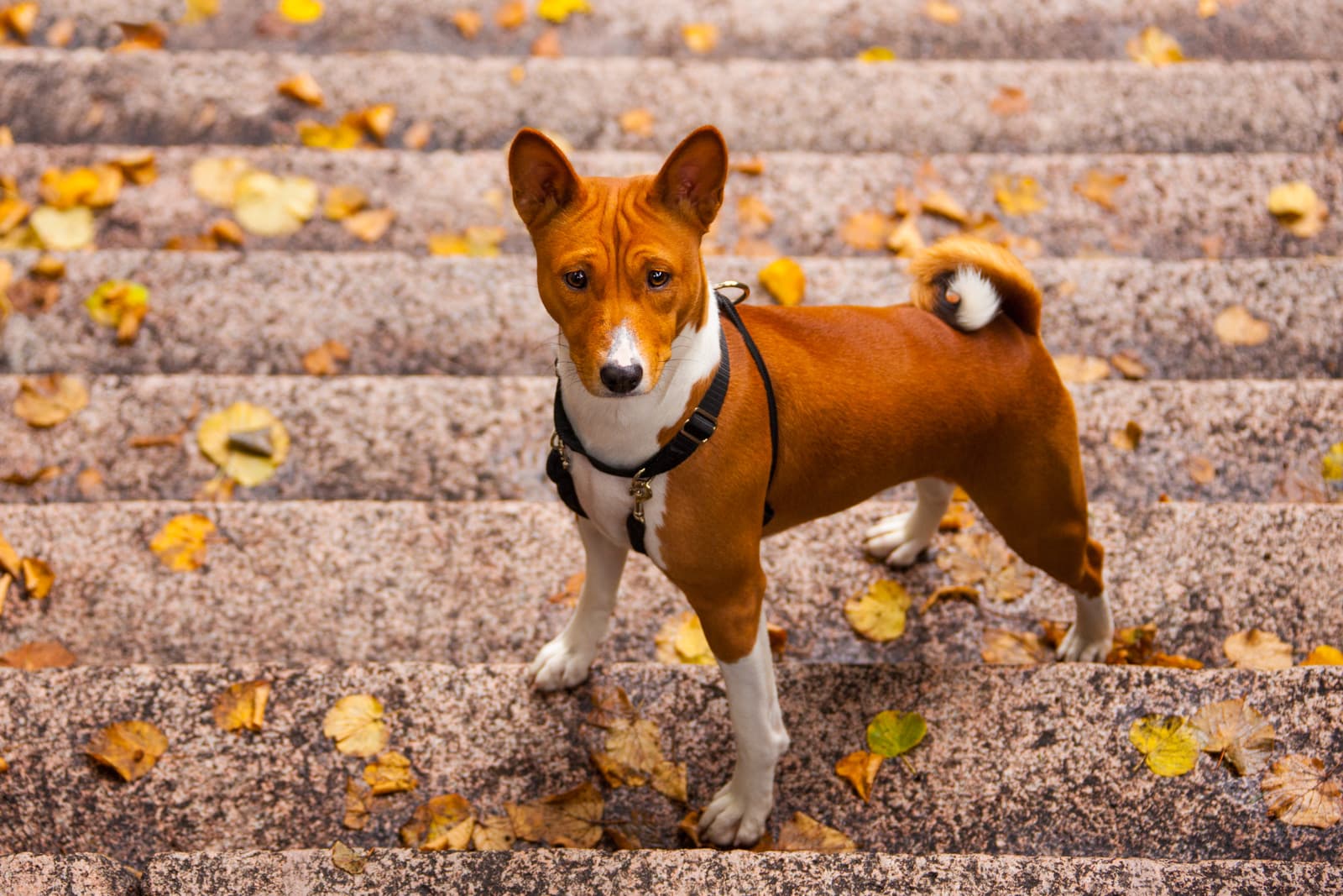 20150923-IMG_3409-Edit.jpg