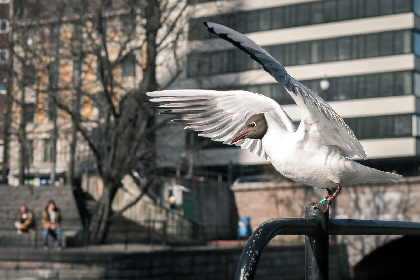 20170402-_DSF9417.jpg