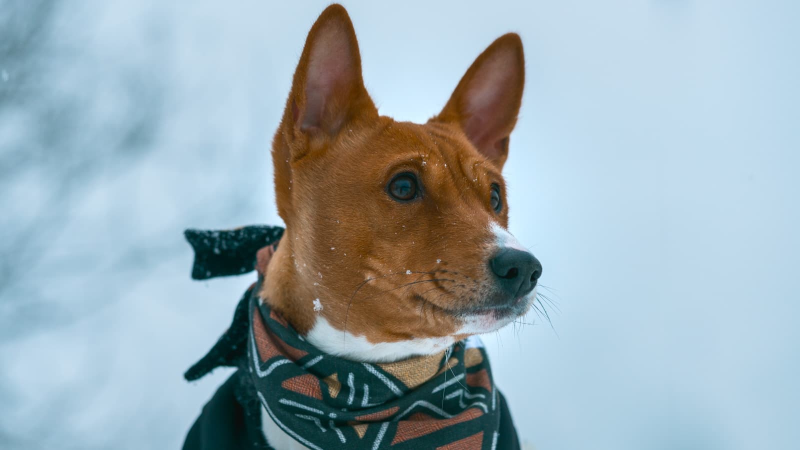 20180114-DSC01552.jpg