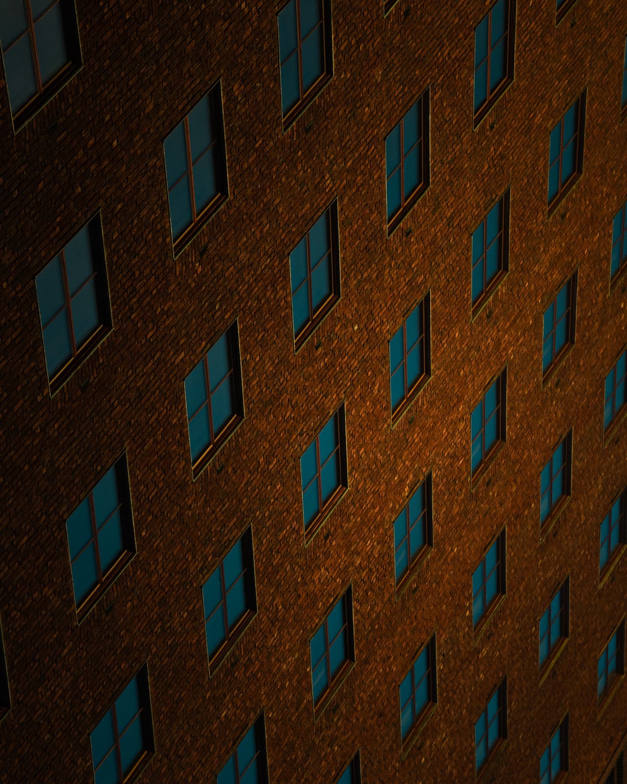 20241228-DSC01667.jpg