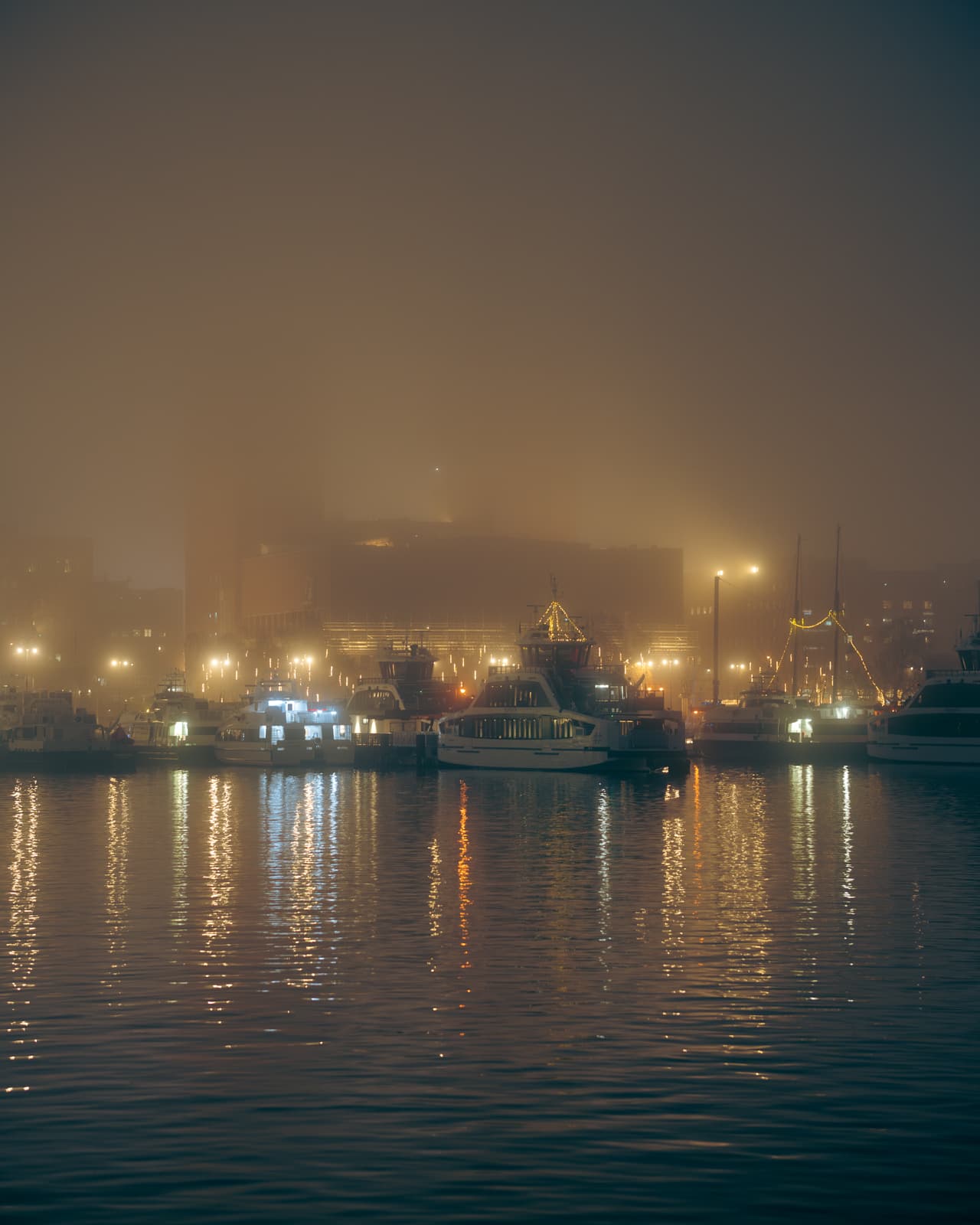 20241228-DSC01783.jpg
